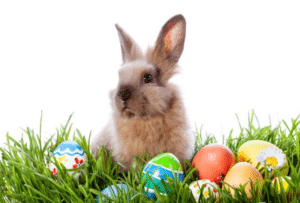 Happy Easter fb pics