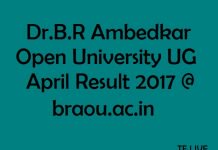 Ambedkar Open University UG
